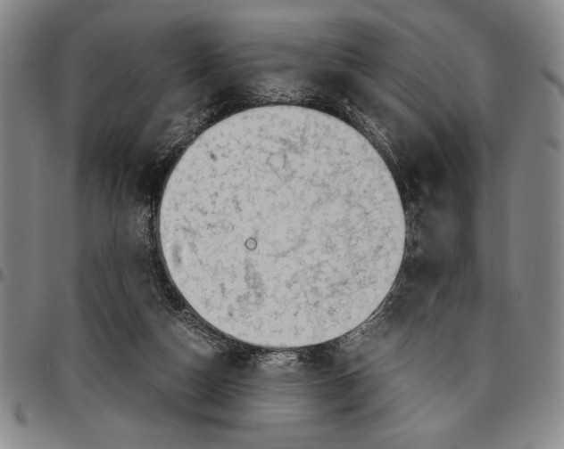 X0000096460162200802211134
