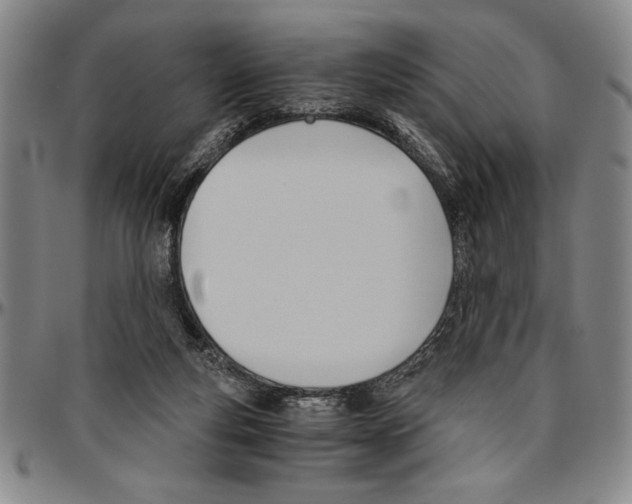 X0000096460163200802211134
