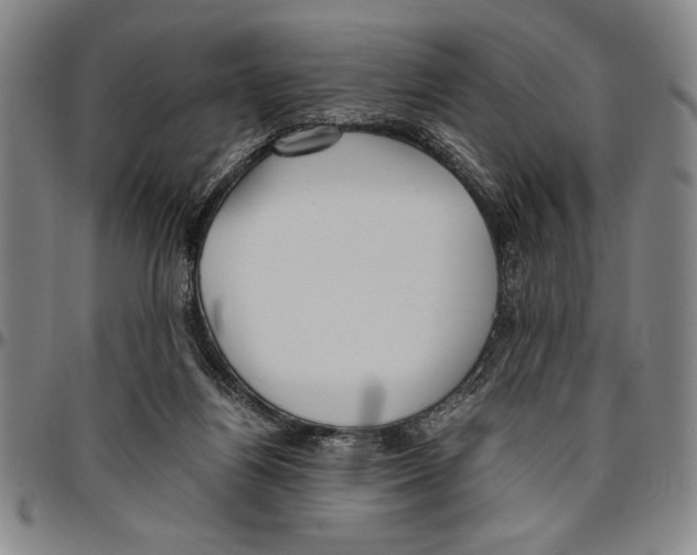 X0000096460164200802211134