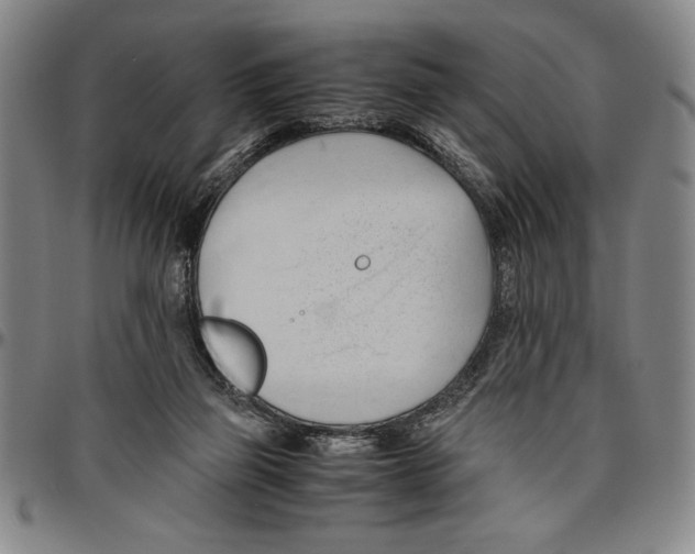 X0000096460165200802211134