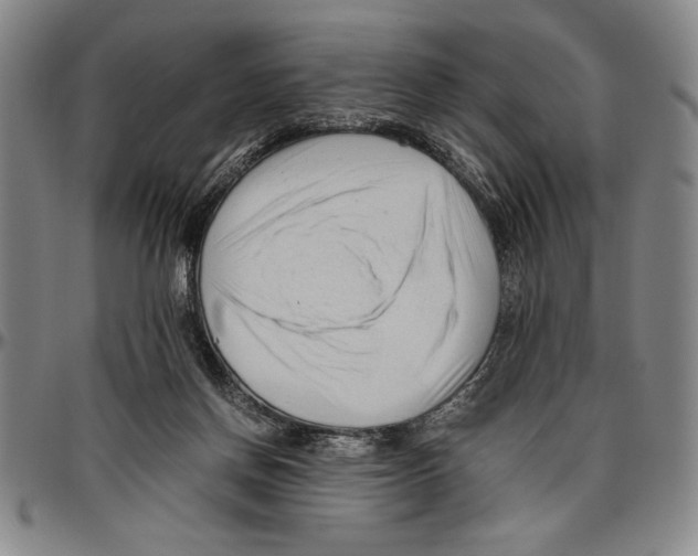 X0000096460166200802211134