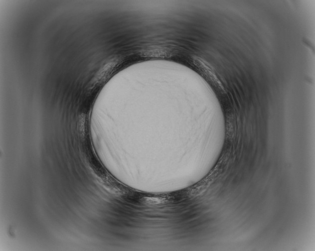 X0000096460167200802211134