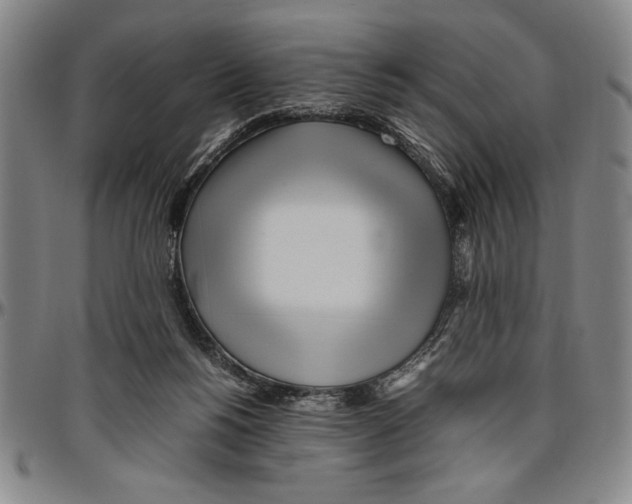 X0000096460168200802211134