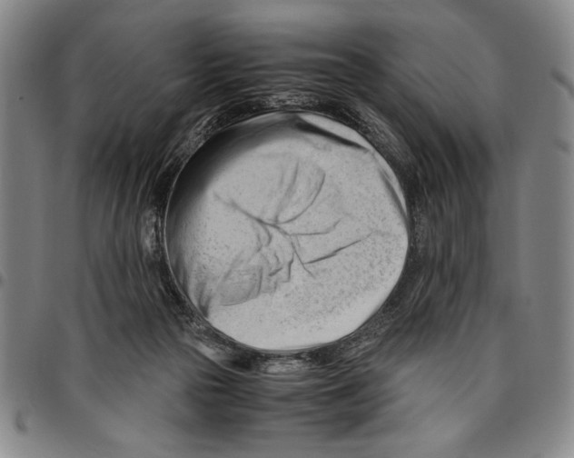 X0000096460169200802211134