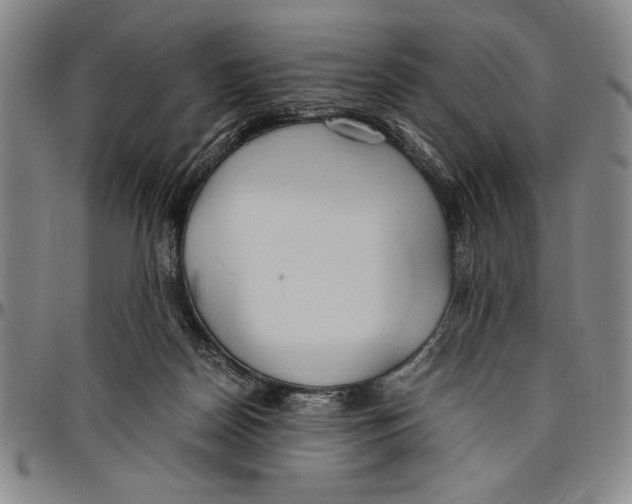 X0000096460170200802211134