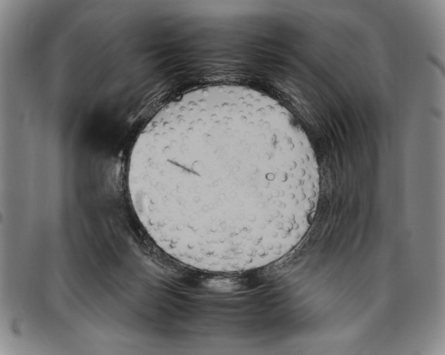 X0000096460171200802211134