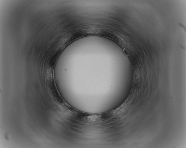 X0000096460172200802211134