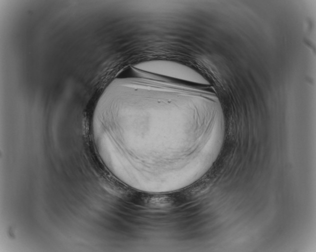 X0000096460173200802211134