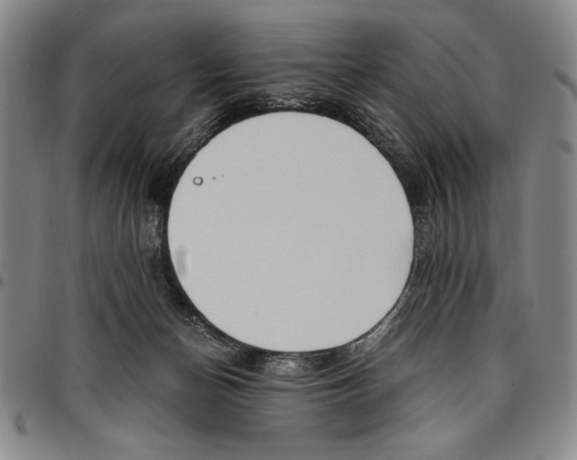 X0000096460174200802211134