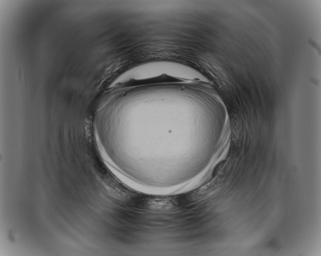 X0000096460175200802211134