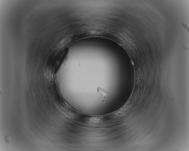 X0000096460176200802211134