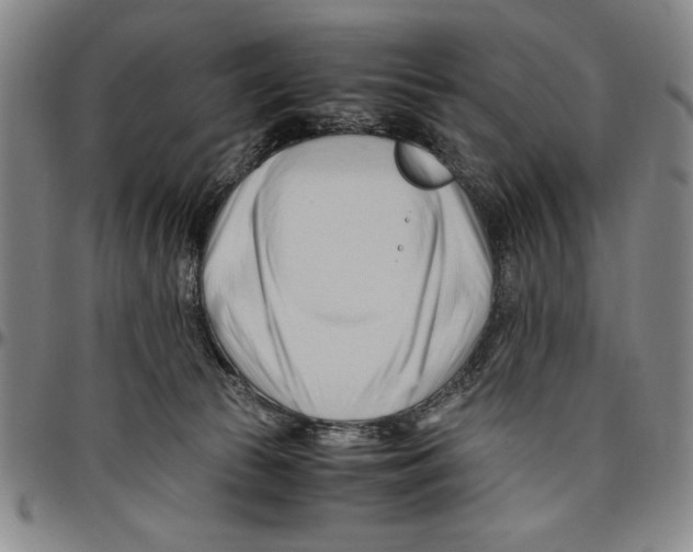 X0000096460177200802211134