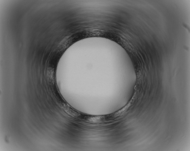 X0000096460178200802211134