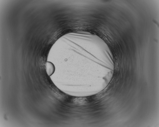 X0000096460179200802211134