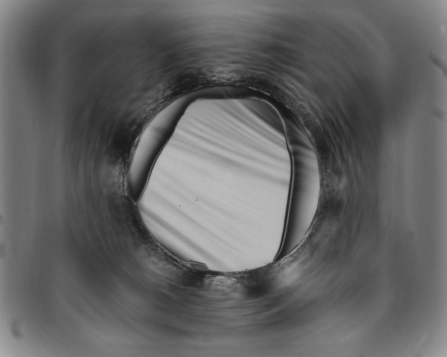 X0000096460180200802211134