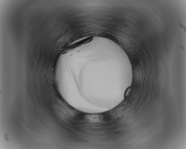 X0000096460181200802211134