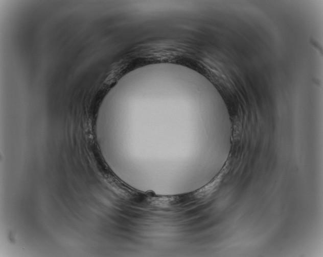 X0000096460182200802211134