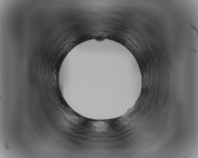X0000096460183200802211134
