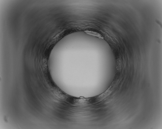 X0000096460184200802211134