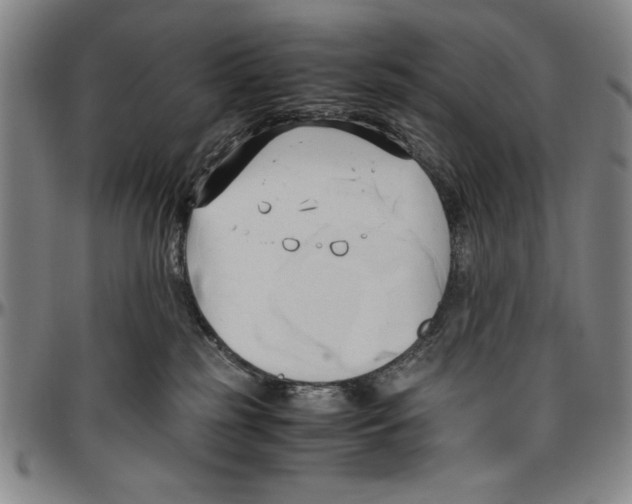 X0000096460185200802211134