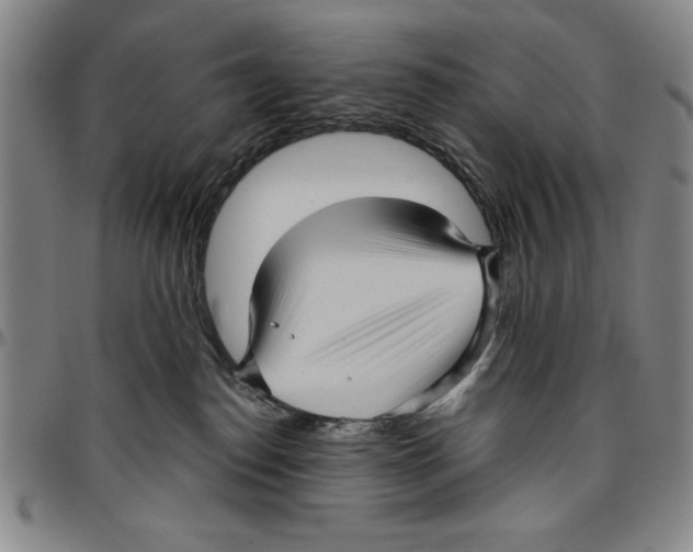 X0000096460186200802211135