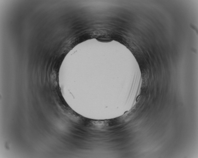 X0000096460187200802211135