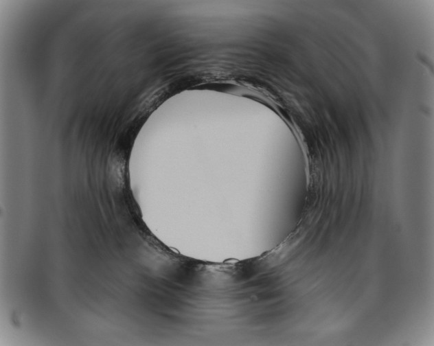 X0000096460188200802211135