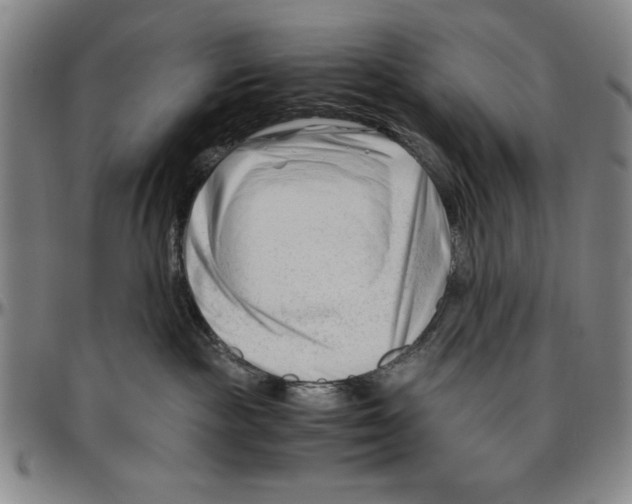 X0000096460189200802211135