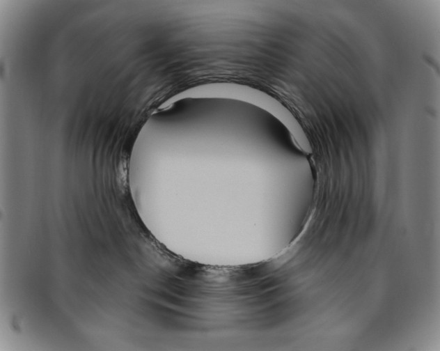 X0000096460190200802211135