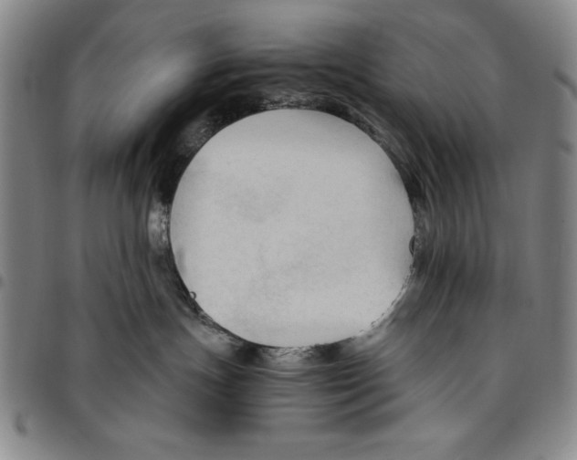 X0000096460191200802211135