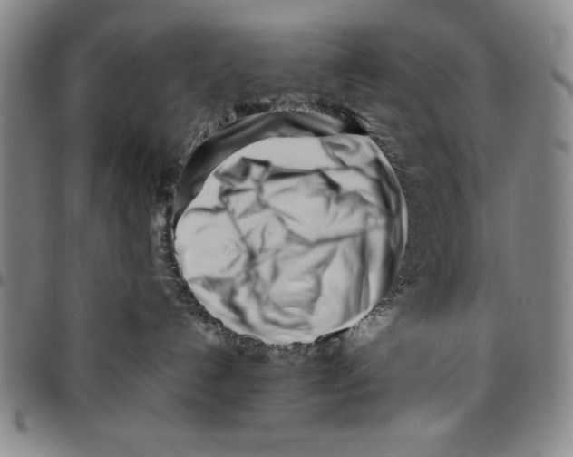 X0000096460192200802211135