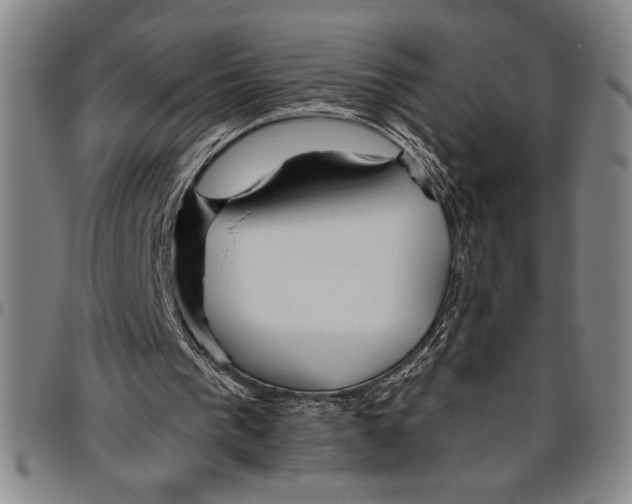 X0000096460193200802211134
