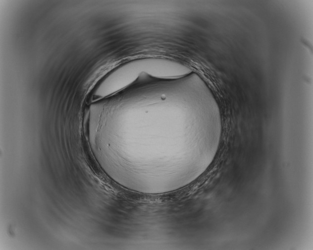 X0000096460194200802211134
