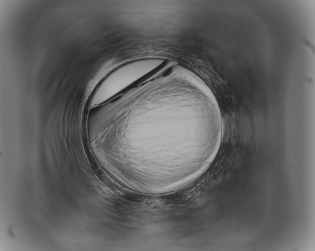 X0000096460195200802211134