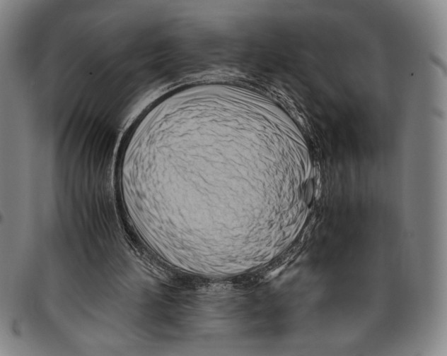 X0000096460196200802211134