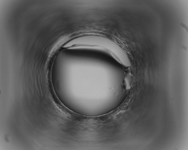 X0000096460197200802211134