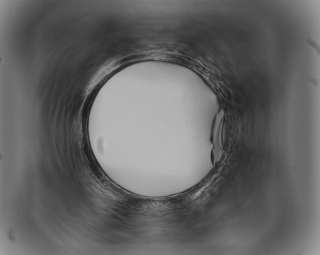 X0000096460198200802211134