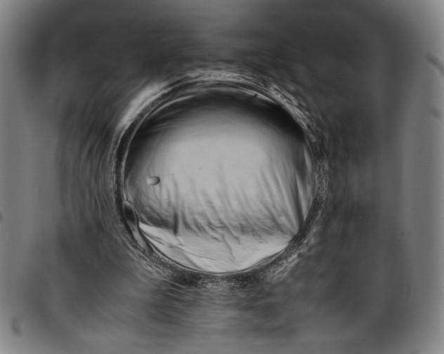 X0000096460199200802211134