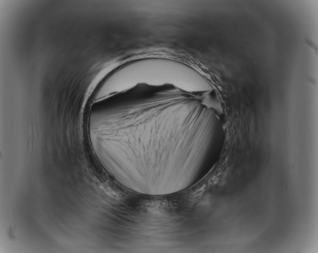 X0000096460200200802211134