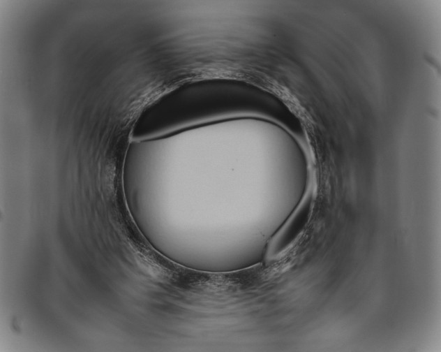 X0000096460201200802211134
