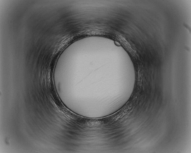 X0000096460202200802211134