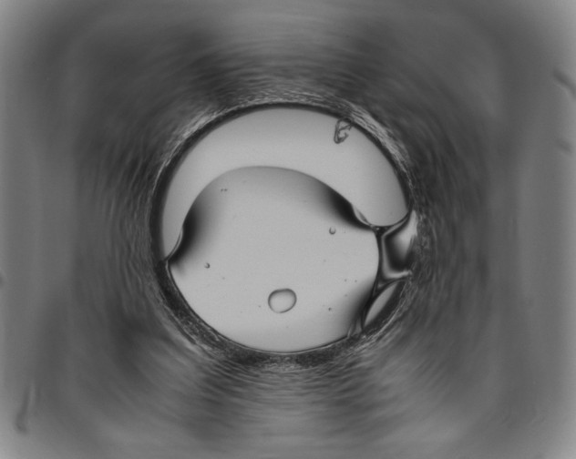 X0000096460203200802211134