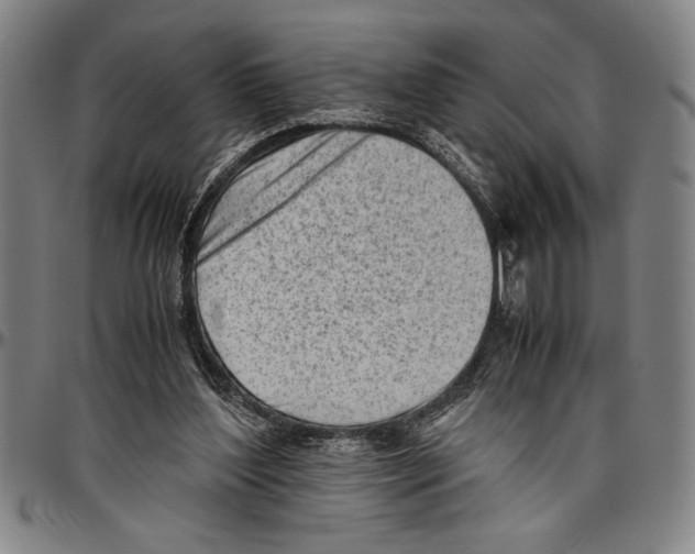X0000096460204200802211134