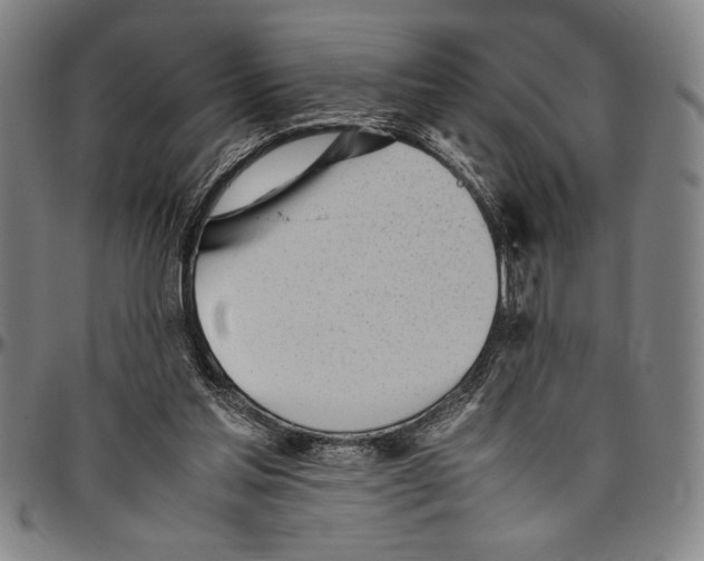 X0000096460205200802211134