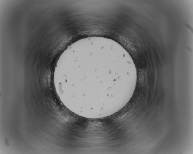 X0000096460206200802211134