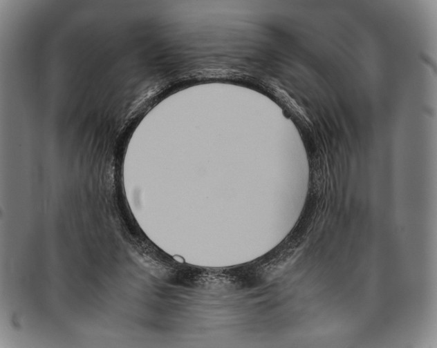 X0000096460207200802211134