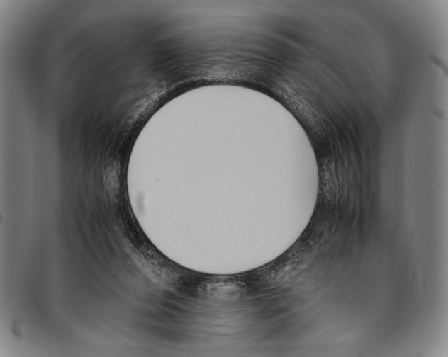X0000096460208200802211134