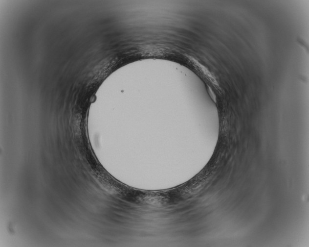 X0000096460209200802211134