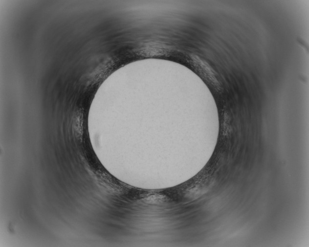 X0000096460210200802211134