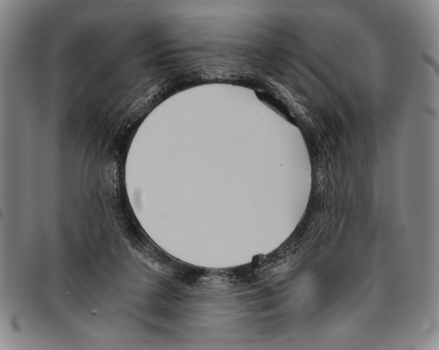 X0000096460211200802211134